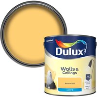 Dulux Standard Banana Split Matt Emulsion Paint - 2.5L
Dulux Standard Banana Split Matt Emulsion Paint - 2.5L