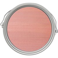 Rust-Oleum Colour Wash Paint - Coral Frost - 750ml
Rust-Oleum Colour Wash Paint - Coral Frost - 750ml