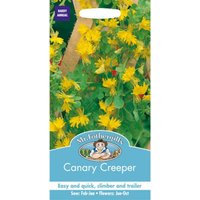 Mr. Fothergill's Canary Creeper Seeds
Mr. Fothergill's Canary Creeper Seeds