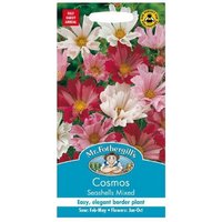 Mr. Fothergill's Cosmos Seashells Mixed Seeds
Mr. Fothergill's Cosmos Seashells Mixed Seeds