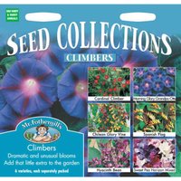 Mr. Fothergill's Climbers Collection
Mr. Fothergill's Climbers Collection