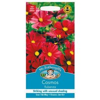 Mr. Fothergill's Cosmos Rubenza Seeds
Mr. Fothergill's Cosmos Rubenza Seeds