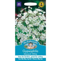 Mr. Fothergill's Gypsophilia Monarch White Seeds
Mr. Fothergill's Gypsophilia Monarch White Seeds