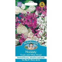 Mr. Fothergill's Honesty Purple And White Mixed Seeds
Mr. Fothergill's Honesty Purple And White Mixed Seeds