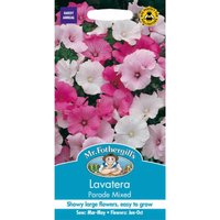 Mr. Fothergill's Lavatera Parade Mixed Seeds
Mr. Fothergill's Lavatera Parade Mixed Seeds