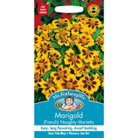 Mr. Fothergill's Marigold (French) Naughty Marietta Seeds
Mr. Fothergill's Marigold (French) Naughty Marietta Seeds