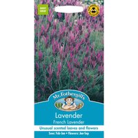 Mr. Fothergill's Lavender French Lavender Seeds
Mr. Fothergill's Lavender French Lavender Seeds