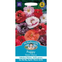 Mr. Fothergill's Poppy Dawn Chorus Seeds
Mr. Fothergill's Poppy Dawn Chorus Seeds