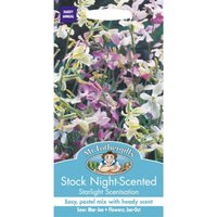 Mr. Fothergill's Stock Night Scented Starlight Scentsation Seeds
Mr. Fothergill's Stock Night Scented Starlight Scentsation Seeds
