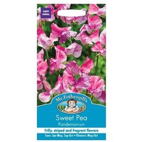 Mr. Fothergill's Sweet Pea Pandemonium Seeds
Mr. Fothergill's Sweet Pea Pandemonium Seeds