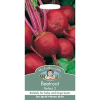 Mr. Fothergill's Beetroot Perfect 3 Seeds
Mr. Fothergill's Beetroot Perfect 3 Seeds