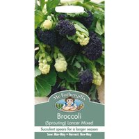 Mr. Fothergill's Broccoli (Sprouting) Lancer Mixed Seeds
Mr. Fothergill's Broccoli (Sprouting) Lancer Mixed Seeds