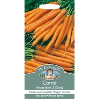 Mr. Fothergill's Carrot Amsterdam 2 Solo Seeds
Mr. Fothergill's Carrot Amsterdam 2 Solo Seeds