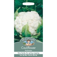 Mr. Fothergill's Cauliflower Aalsmeer Seeds
Mr. Fothergill's Cauliflower Aalsmeer Seeds