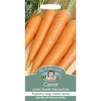 Mr. Fothergill's Carrot James Scarlet Intermediate Seeds
Mr. Fothergill's Carrot James Scarlet Intermediate Seeds
