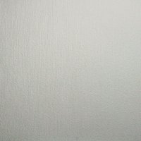 Superfresco Blown Paintable Vinyl Wallpaper 
Superfresco Blown Paintable Vinyl Wallpaper