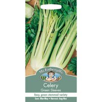 Mr. Fothergill's Celery Green Sleeves Seeds
Mr. Fothergill's Celery Green Sleeves Seeds