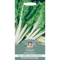 Mr. Fothergill's Chard White Silver 2 Seeds
Mr. Fothergill's Chard White Silver 2 Seeds