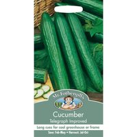 Mr. Fothergill's Cucumber Telegraph Improved Seeds
Mr. Fothergill's Cucumber Telegraph Improved Seeds