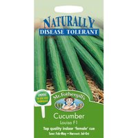 Mr. Fothergill's Cucumber Louisa F1 Vegetable Seeds
Mr. Fothergill's Cucumber Louisa F1 Vegetable Seeds