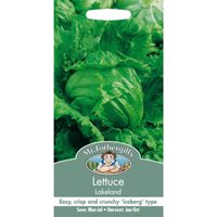 Mr. Fothergill's Lettuce Lakeland Seeds
Mr. Fothergill's Lettuce Lakeland Seeds