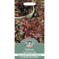 Mr. Fothergill's Lettuce Salad Bowl Red Seeds
Mr. Fothergill's Lettuce Salad Bowl Red Seeds