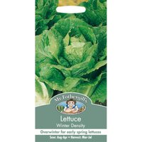 Mr. Fothergill's Lettuce Winter Density Seeds
Mr. Fothergill's Lettuce Winter Density Seeds