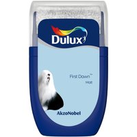 Dulux Standard First Dawn Tester Paint - 30ml
Dulux Standard First Dawn Tester Paint - 30ml