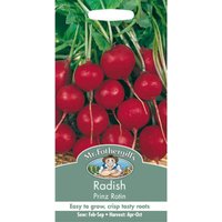 Mr. Fothergill's Radish Prinz Rotin Seeds
Mr. Fothergill's Radish Prinz Rotin Seeds