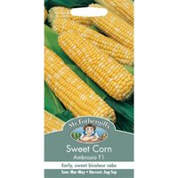 Mr. Fothergill's Sweetcorn Ambrosia F1 Vegetable Seeds
Mr. Fothergill's Sweetcorn Ambrosia F1 Vegetable Seeds