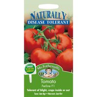 Tomato Ferline F1 Fruit Seeds
Tomato Ferline F1 Fruit Seeds