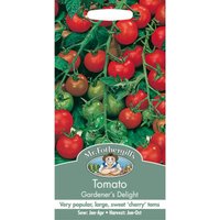 Mr. Fothergill's Tomato Gardeners Delight Fruit Seeds
Mr. Fothergill's Tomato Gardeners Delight Fruit Seeds