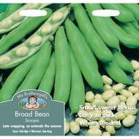 Mr. Fothergill's Broad Bean Scorpio Vegetable Seeds
Mr. Fothergill's Broad Bean Scorpio Vegetable Seeds