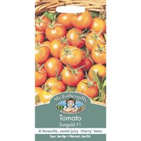 Mr. Fothergill's Tomato Sungold F1 Fruit Seeds
Mr. Fothergill's Tomato Sungold F1 Fruit Seeds