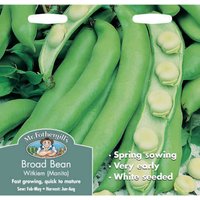 Mr. Fothergill's Broad Bean Witkiem Manita Seeds
Mr. Fothergill's Broad Bean Witkiem Manita Seeds