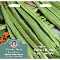Mr. Fothergill's Runner Bean Scarlet Empire (Stringless) Seeds
Mr. Fothergill's Runner Bean Scarlet Empire (Stringless) Seeds