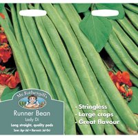 Mr. Fothergill's Runner Bean Lady Di Vegetable Seeds 
Mr. Fothergill's Runner Bean Lady Di Vegetable Seeds