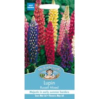 Mr. Fothergill's Lupin Russell Mixed (Lupinus Polyphyllus) Seeds
Mr. Fothergill's Lupin Russell Mixed (Lupinus Polyphyllus) Seeds