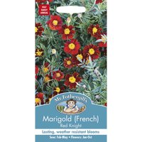 Mr. Fothergill's Marigold French Red Knight
Mr. Fothergill's Marigold French Red Knight