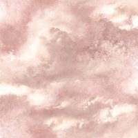 Arthouse Diamond Galaxy Clouds Textured Glitter Blush Pink Wallpaper
Arthouse Diamond Galaxy Clouds Textured Glitter Blush Pink Wallpaper