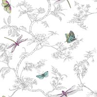 Contour Nature Trail Wallpaper
Contour Nature Trail Wallpaper