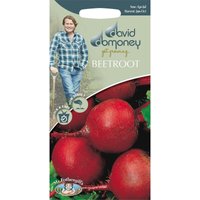 David Domoney Beetroot Seeds
David Domoney Beetroot Seeds