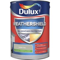 Dulux Weathershield All Weather Smooth Masonry Paint - Green Ivy - 5L 
Dulux Weathershield All Weather Smooth Masonry Paint - Green Ivy - 5L