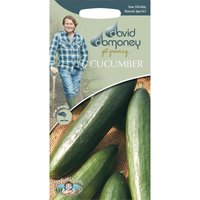 David Domoney Cucumber Seeds
David Domoney Cucumber Seeds