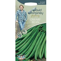 David Domoney Dwarf Bean Seeds
David Domoney Dwarf Bean Seeds