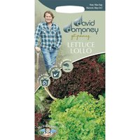 David Domoney Lettuce Lollo Seeds
David Domoney Lettuce Lollo Seeds