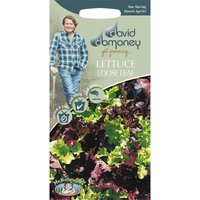 David Domoney Lettuce Loose Leaf Seeds
David Domoney Lettuce Loose Leaf Seeds