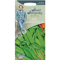 David Domoney Pea Mangetout Seeds
David Domoney Pea Mangetout Seeds
