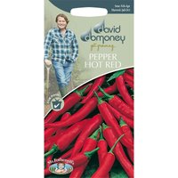 David Domoney Pepper Hot Red Seeds
David Domoney Pepper Hot Red Seeds