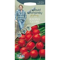 David Domoney Radish Globe Seeds
David Domoney Radish Globe Seeds